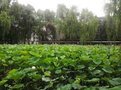 -四川大学(望江校区)
