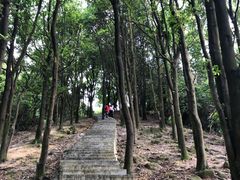 -火炉山森林公园