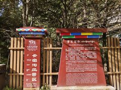 -卡定沟景区