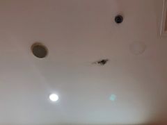 -虹梅食堂·爱蝦乃家