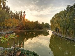 -大兴滨河森林公园