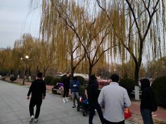 -南翠屏公园