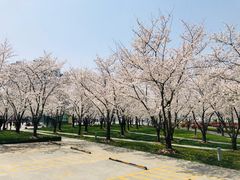 -龙美术馆西岸馆-停车场