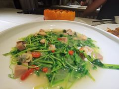 上汤苋菜-春暖花开(西溪店)