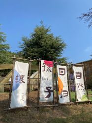 -童心园麦窑·儿童拓展探宝乐园