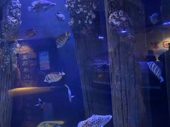 -成都浩海立方海洋公园