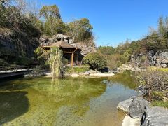 -上海吴淞炮台湾国家湿地公园