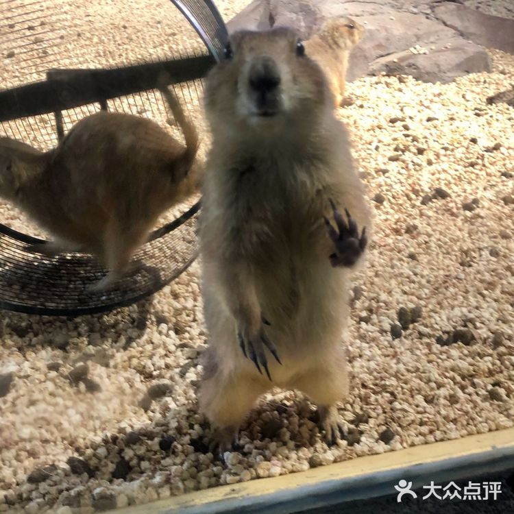 五一去哪玩|温州极地海洋世界 太太太可爱啦!