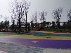 -春花秋色城市公园