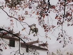 -婺源风景区