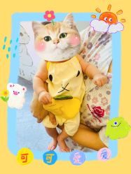 -大美母婴月子中心(希尔顿店)