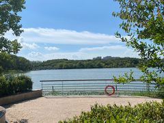 -昆山城市生态森林公园