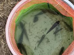 -哈尔滨大剧院