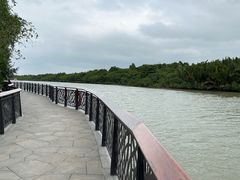 -东寨港红树林旅游区