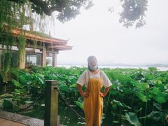 -西湖游船