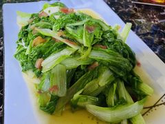 炒毛白菜-马白开来特色羊排揪片子  (总店)