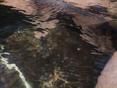 -三亚珠江南田温泉度假区