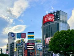 -涩谷区