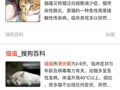 -瑞鹏宠物医院·爱宠堂·骨外专科(西荷分院)