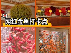 -永利澳门酒店