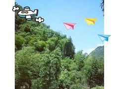 -将军关探险漂流