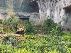 -石排湾郊野公园