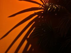 -万科城市广场(厚街店)