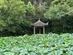 -绍兴东湖风景区