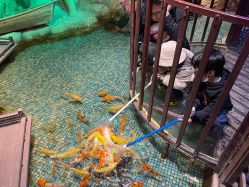 -酷嗒动物文化乐园(cutezoo西溪乐天城店)