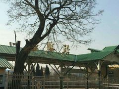 -青松大叔的店(东财店)