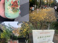 -云龙山