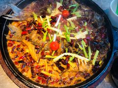 -老板恋上鱼(恒隆广场店)