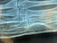 -北京有明中医诊所