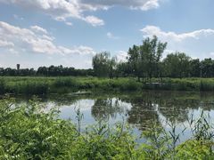 -大兴滨河森林公园