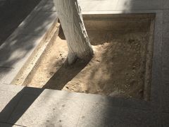 -党河风情线国家水利风景区