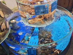 -乔家小院•非遗驴肉•本地小海鲜(滨河路店)