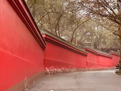 -峨眉山报国寺