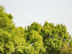 -荔香公园