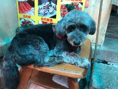 -老宅原住民沙茶面精品小吃(龙头路店)