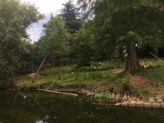 -上海滨江森林公园