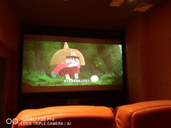 -华美国际影城(旧宫永辉店)