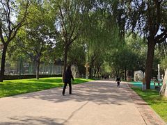 -唐城墙遗址公园