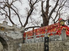 -大槐树寻根祭祖园