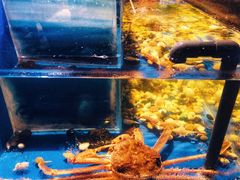 -千代武日本料理(哈西店)