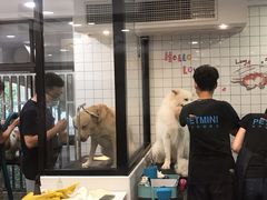 -宠小格时尚宠物生活馆(唐镇店)