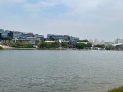 -欢乐海岸椰林沙滩-2025湾区超级灯会