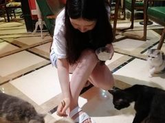-猫色咖啡·猫咖