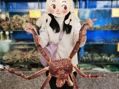 -蚝专家(北滘店)