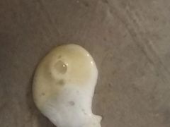 -桂林市花鸟市场