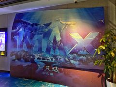 -万达影城(贵阳观山湖万达IMAX店)